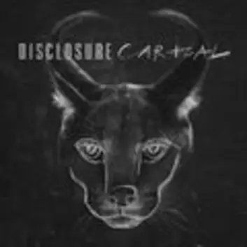 How Much is the Song Masterpiece by Disclosure Worth? Royalty & Value Breakdown