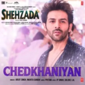 How Much is the Song Chedkhaniyan (From "Shehzada") by Pritam Worth? Royalty & Value Breakdown