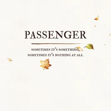 How Much is the Song Sometimes It's Something, Sometimes It's Nothing at All by Passenger Worth? Royalty & Value Breakdown
