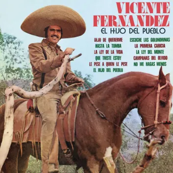 How Much is the Song No Me Hagas Menos by Vicente Fernández Worth? Royalty & Value Breakdown