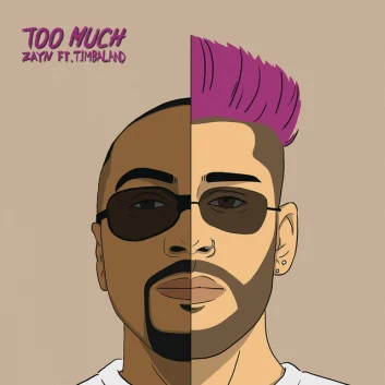How Much is the Song Too Much (feat. Timbaland) by ZAYN Worth? Royalty & Value Breakdown