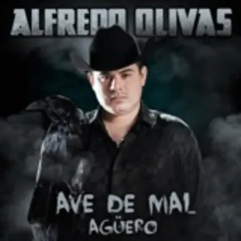 How Much is the Song Ave De Mal Agüero by Alfredo Olivas Worth? Royalty & Value Breakdown