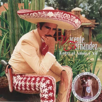 How Much is the Song Mi Fiel Compañera by Vicente Fernández Worth? Royalty & Value Breakdown