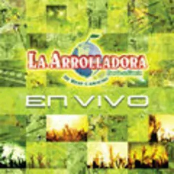 How Much is the Song Hacia Mis Brazos - En Vivo En Culiacán-Foro Tecate / 2004 by La Arrolladora Banda El Limón De Rene Camacho Worth? Royalty & Value Breakdown
