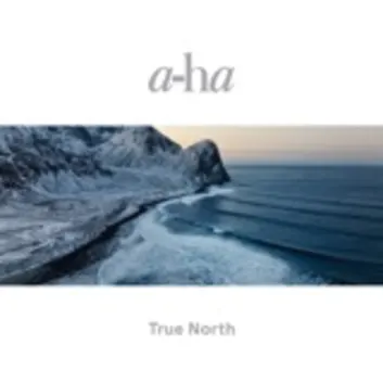 How Much is the Song Between The Halo And The Horn by a-ha Worth? Royalty & Value Breakdown