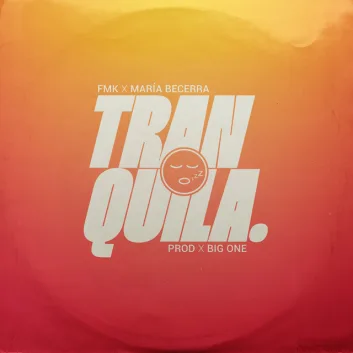 How Much is the Song Tranquila by FMK Worth? Royalty & Value Breakdown