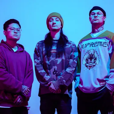 Picture of Within Destruction