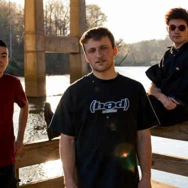 Picture of Silly Goose