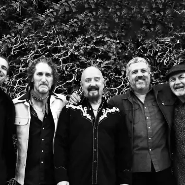 Picture of Fabulous Thunderbirds