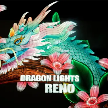 Picture of Dragon Lights: Reno