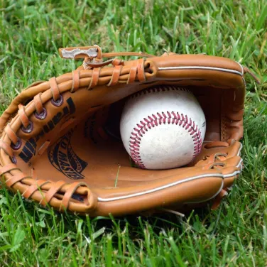 Picture of Buffalo Bisons