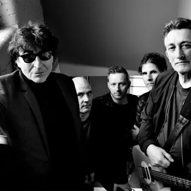 Picture of The Chameleons