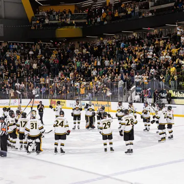 Picture of Colorado College Tigers Mens Hockey
