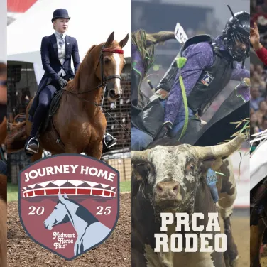 Picture of Midwest Horse Fair