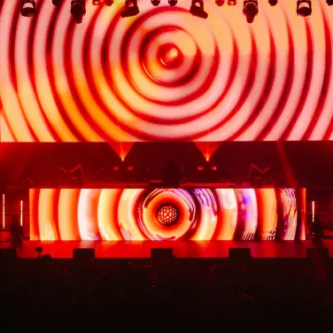 Picture of Jade Cicada