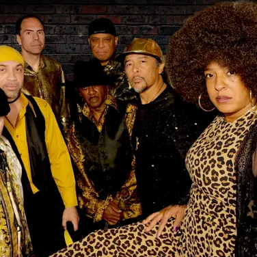 Picture of The Family Stone