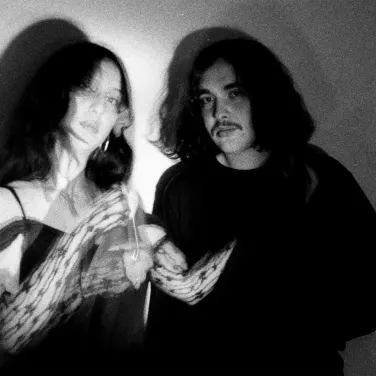 Picture of Mint Field