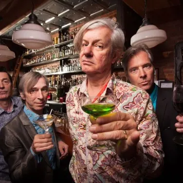Picture of The Fleshtones