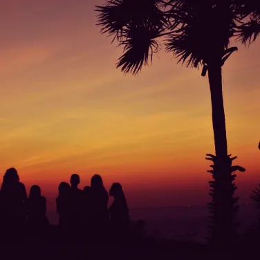 Picture of Bim Skala Bim