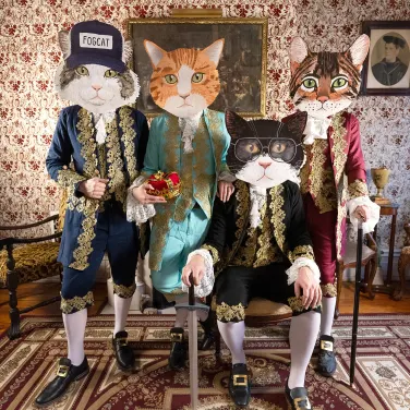 Picture of Fantastic Cat