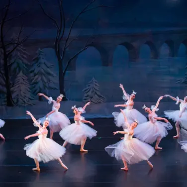 Picture of Twin Cities Ballet of Minnesota