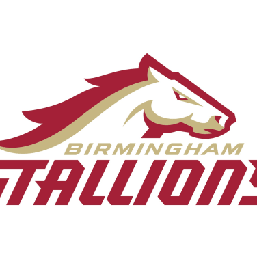Picture of Birmingham Stallions