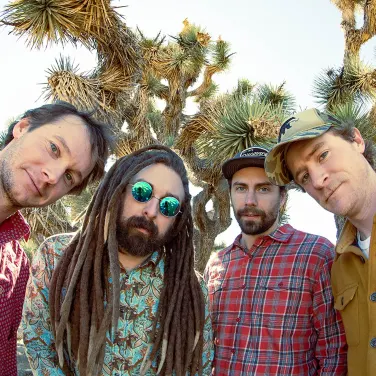 Picture of Kitchen Dwellers