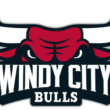 Picture of Windy City Bulls