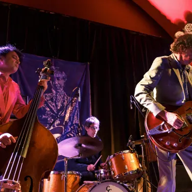 Picture of The Sadies