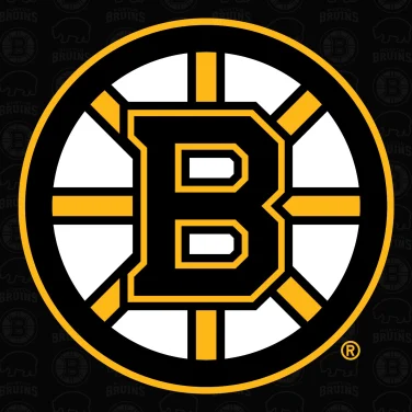 Picture of Boston Bruins