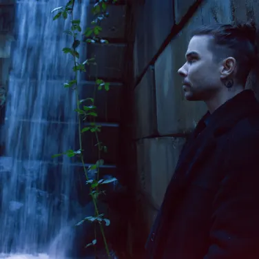 Picture of Seven Lions