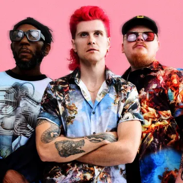 Picture of Too Many Zooz