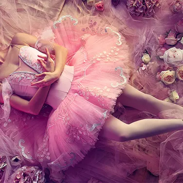 Picture of Sleeping Beauty