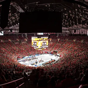 Picture of Utah Women's Gymnastics