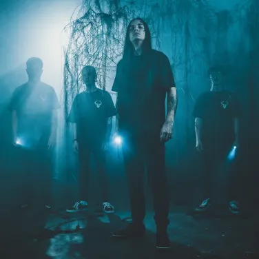 Picture of Vulvodynia