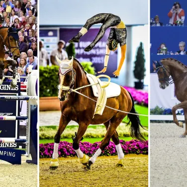 Picture of FEI World Cup Finals