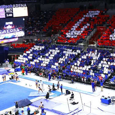 Picture of Florida Gators Gymnastics