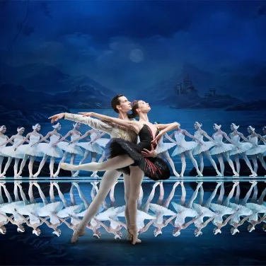 Picture of Swan Lake