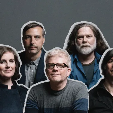 Picture of The New Pornographers