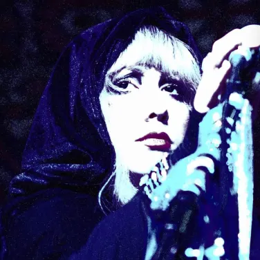 Picture of Nightbird