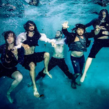 Picture of Alestorm