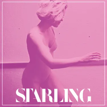 Picture of Starling