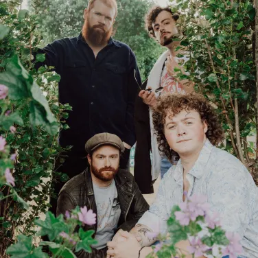 Picture of The Wellermen