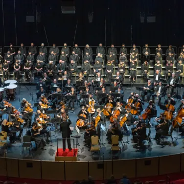 Picture of Greensboro Symphony Orchestra