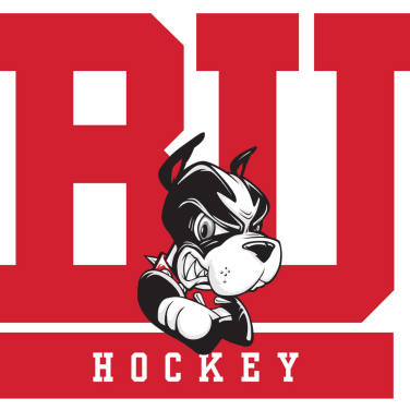 Picture of Boston University Womens Hockey