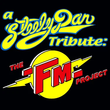 Picture of The FM Project