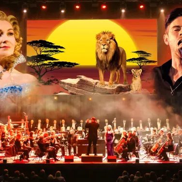 Picture of The music of Lion King