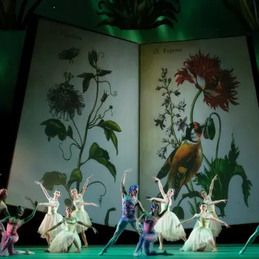 Picture of Atlanta Ballet Nutcracker