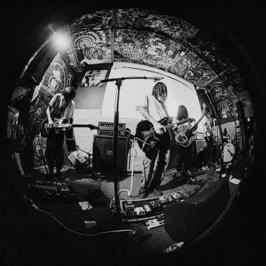 Picture of Trauma Ray