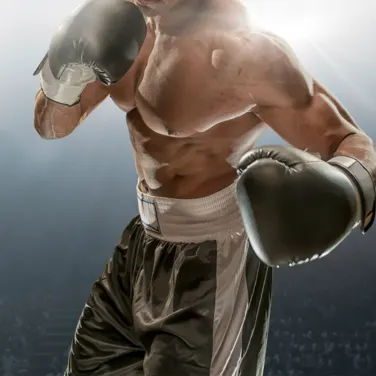Picture of Professional Boxing
